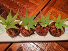 秘制牛肉球-TOMATITO(无限极荟店)