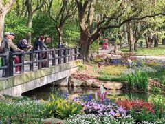 -上海共青森林公园