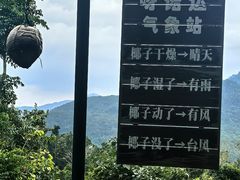 -呀诺达热带雨林