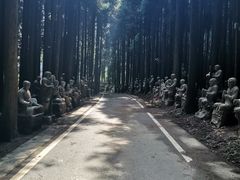 -武陵山森林公园