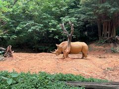 -广州长隆野生动物世界