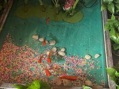 -怡泰SPA·泰疗按摩(徽宁路店)