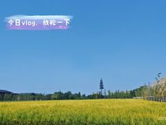 -中国天府农业博览园