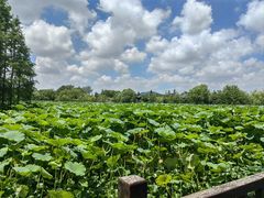 -云龙湖旅游景区