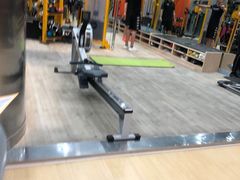 -健身专家Wellness Experts