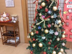-猫十亿·布偶金渐层·曼基康矮脚猫舍(青年路店)