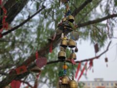 -南京邮电大学(仙林校区)
