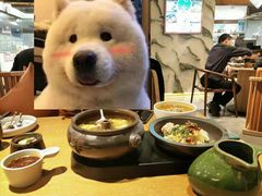 -云海肴·汽锅鸡·云南菜(领展购物广场·中关村店)