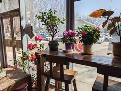 -Serendipper Coffee(槐树岭4号院店)