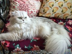 -广州迷途主题旅馆(海珠广场店)