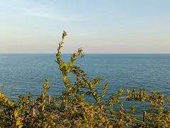 -广东惠东海龟国家级自然保护区