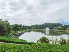 -福建鲤鱼洲酒店