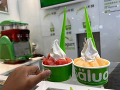 -Salud撒露欧洲冻酸奶(蓝色港湾店)
