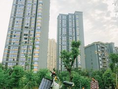 -重庆彩云湖湿地公园