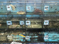 -范饭椰林川湘味海鲜·椰子鸡(三亚湾椰梦长廊店)