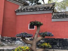 -南阳卧龙岗武侯祠