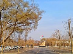 -秦皇岛野生动物园