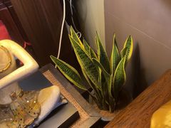 -泰合玺·精油疗愈SPA(南京光环花园城店)