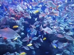 -成都浩海立方海洋公园