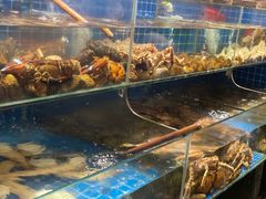 -健眺小海鲜(临海后山店)