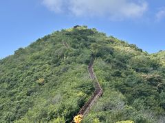 -大岭沟猕猴桃谷风景区