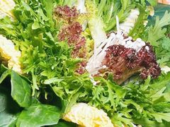 -南门四季铜锅涮肉(左家庄店)