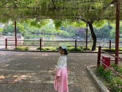 -嘉定紫藤园