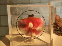 -上海琉璃艺术博物馆