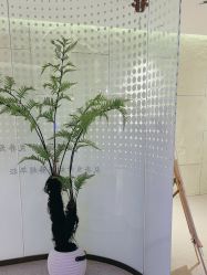 -碧莲盛·脱发养发中心