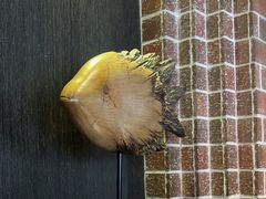 -永安鱼庄·镇江菜(东吴路店)