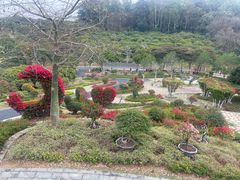 -东莞植物园