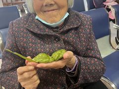 -上海市松江华阳敬老院