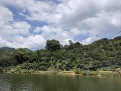 -新安江山水画廊风景区