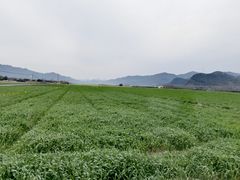 -瑶琳仙境