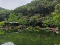 -云溪植物园