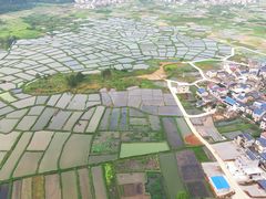 -会仙湿地