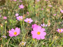 -漩门湾国家湿地公园