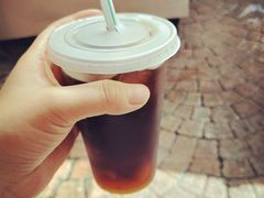 -罗汉果龙眼冰糖燉冬瓜