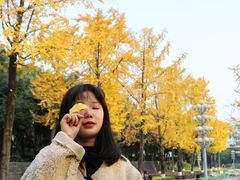 -重庆市江北嘴中央商务区中央公园