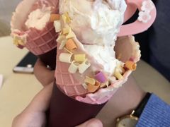 春日捧花丹麦筒冰淇淋-哈根达斯(绍兴银泰店)