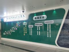 -山东大学齐鲁医院(青岛院区)