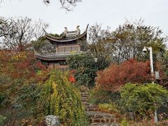-宝界山林公园