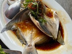 -大树下海鲜饭店