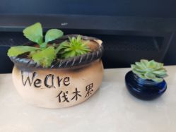 -尚艺造型.剪烫染.接发