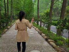 -合肥滨湖国家森林公园