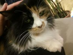 -小时光咖啡馆(开森度假森林店)