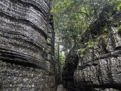 -梭布垭石林景区
