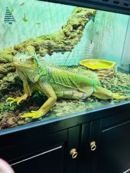 -Zoolung Zoolung动物主题公园(海信广场店)