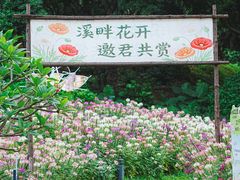 -云溪植物园