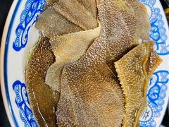 -重庆川渝肥妹火锅